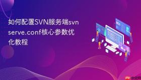 如何配置svn服务端svnserve.conf核心参数优化教程
