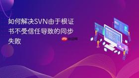 如何解决svn由于根证书不受信任导致的同步失败
