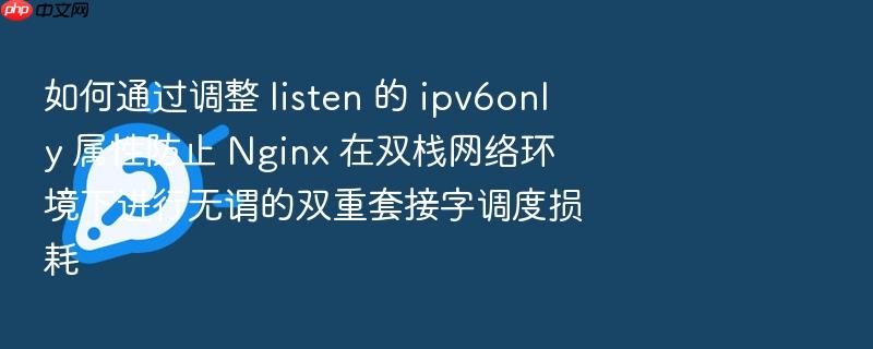 如何通过调整 listen 的 ipv6only 属性防止 nginx 在双栈网络环境下进行无谓的双重套接字调度损耗