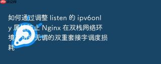 如何通过调整 listen 的 ipv6only 属性防止 nginx 在双栈网络环境下进行无谓的双重套接字调度损耗