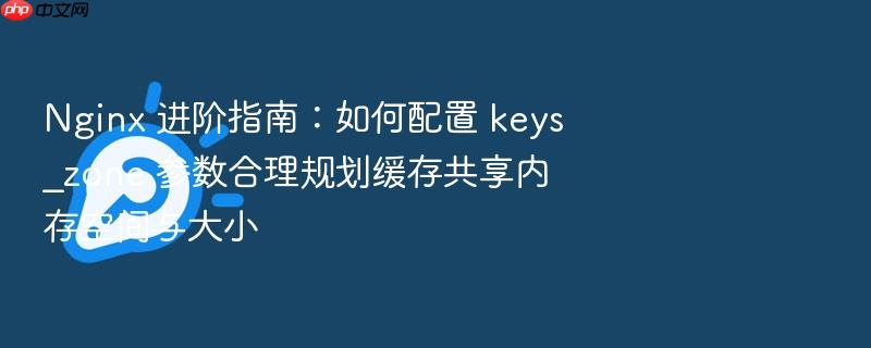 nginx 进阶指南:如何配置 keys_zone 参数合理规划缓存共享内存空间与大小