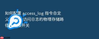 如何配置 access_log 指令自定义 nginx 访问日志的物理存储路径与全局开关