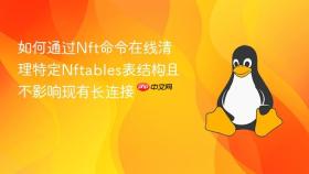 如何通过Nft命令在线清理特定Nftables表结构且不影响现有长连接