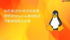 如何通过nft命令在线清理特定nftables表结构且不影响现有长连接