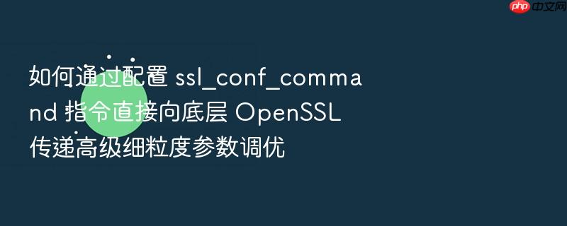 如何通过配置 ssl_conf_command 指令直接向底层 openssl 传递高级细粒度参数调优