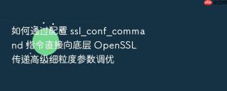 如何通过配置 ssl_conf_command 指令直接向底层 openssl 传递高级细粒度参数调优