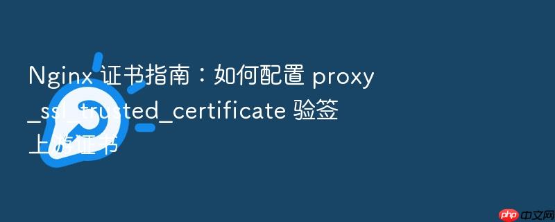 nginx 证书指南:如何配置 proxy_ssl_trusted_certificate 验签上游证书