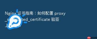 nginx 证书指南：如何配置 proxy_ssl_trusted_certificate 验签上游证书
