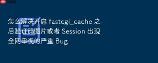 怎么解决开启 fastcgi_cache 之后验证码图片或者 Session 出现全网串视的严重 Bug