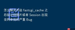 怎么解决开启 fastcgi_cache 之后验证码图片或者 session 出现全网串视的严重 bug