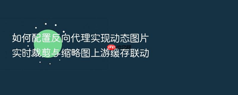 如何配置反向代理实现动态图片实时裁剪与缩略图上游缓存联动