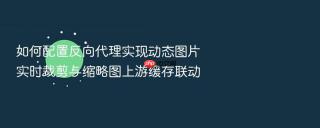 如何配置反向代理实现动态图片实时裁剪与缩略图上游缓存联动