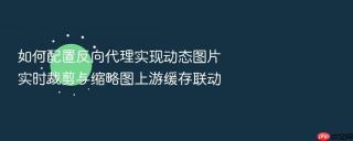 如何配置反向代理实现动态图片实时裁剪与缩略图上游缓存联动