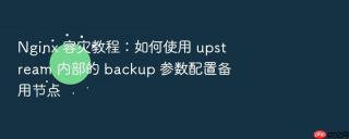 Nginx 容灾教程：如何使用 upstream 内部的 backup 参数配置备用节点