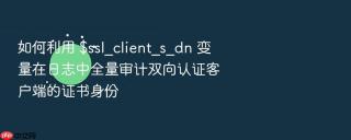 如何利用 $ssl_client_s_dn 变量在日志中全量审计双向认证客户端的证书身份