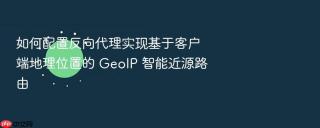 如何配置反向代理实现基于客户端地理位置的 GeoIP 智能近源路由