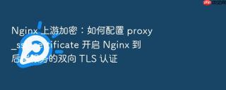 Nginx 上游加密：如何配置 proxy_ssl_certificate 开启 Nginx 到后端服务的双向 TLS 认证