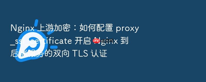 nginx 上游加密：如何配置 proxy_ssl_certificate 开启 nginx 到后端服务的双向 tls 认证