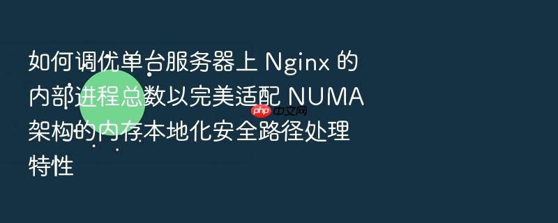 如何调优单台服务器上 nginx 的内部进程总数以完美适配 numa 架构的内存本地化安全路径处理特性