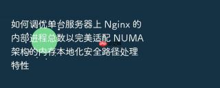 如何调优单台服务器上 nginx 的内部进程总数以完美适配 numa 架构的内存本地化安全路径处理特性