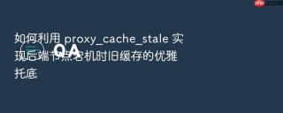 如何利用 proxy_cache_stale 实现后端节点宕机时旧缓存的优雅托底