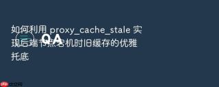 如何利用 proxy_cache_stale 实现后端节点宕机时旧缓存的优雅托底