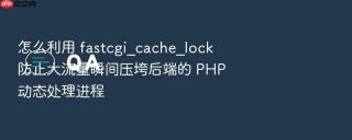 怎么利用 fastcgi_cache_lock 防止大流量瞬间压垮后端的 php 动态处理进程