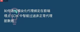 如何通过模块化代理绑定在前端埋点 sdk 中智能过滤非正常代理脏数据