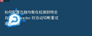 如何配置负载均衡在检测到特定自定义 Header 时自动切断重试直接报错