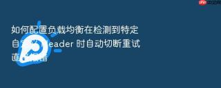 如何配置负载均衡在检测到特定自定义 header 时自动切断重试直接报错