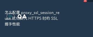 怎么配置 proxy_ssl_session_reuse 优化反代 https 时的 ssl 握手性能