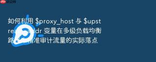 如何利用 $proxy_host 与 $upstream_addr 变量在多级负载均衡路径中精准审计流量的实际落点
