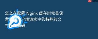 怎么在配置 nginx 缓存时完美保留原始客户端请求中的特殊转义字符与编码