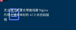 怎么通过配置合理值规避 nginx 代理大请求体时的 413 状态码报错
