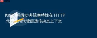 如何利用异步非阻塞特性在 http 代理反向代理层透传动态上下文