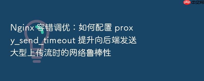 nginx 容错调优:如何配置 proxy_send_timeout 提升向后端发送大型上传流时的网络鲁棒性
