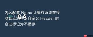 怎么配置 Nginx 让缓存系统在接收到上游特定自定义 Header 时自动标记为不缓存