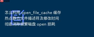 怎么利用 open_file_cache 缓存热点静态文件描述符及修改时间彻底消除频繁磁盘 open 损耗