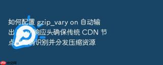 如何配置 gzip_vary on 自动输出 Vary 响应头确保传统 CDN 节点能正确识别并分发压缩资源