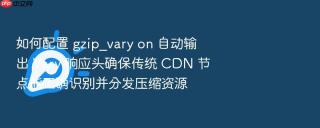 如何配置 gzip_vary on 自动输出 vary 响应头确保传统 cdn 节点能正确识别并分发压缩资源