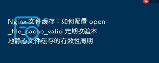 Nginx 文件缓存：如何配置 open_file_cache_valid 定期校验本地静态文件缓存的有效性周期