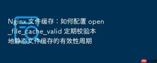 nginx 文件缓存:如何配置 open_file_cache_valid 定期校验本地静态文件缓存的有效性周期