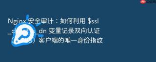 nginx 安全审计：如何利用 $ssl_client_s_dn 变量记录双向认证（mtls）客户端的唯一身份指纹