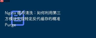 nginx 缓存清洗:如何利用第三方模块实现特定反代缓存的精准 purge