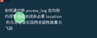 如何通过将 access_log 定向到内存管道或关闭非必要 location 的日志记录实现网关层性能暴力飞跃