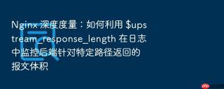 Nginx 深度度量：如何利用 $upstream_response_length 在日志中监控后端针对特定路径返回的报文体积