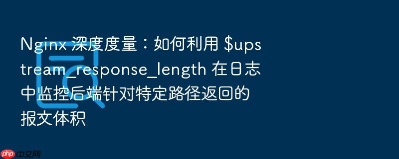 nginx 深度度量:如何利用 $upstream_response_length 在日志中监控后端针对特定路径返回的报文体积