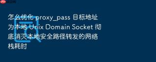怎么优化 proxy_pass 目标地址为本地 Unix Domain Socket 彻底消灭本地安全路径转发的网络栈耗时