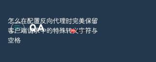 怎么在配置反向代理时完美保留客户端请求中的特殊转义字符与空格