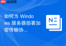 如何为 Windows 服务器部署加密传输协议